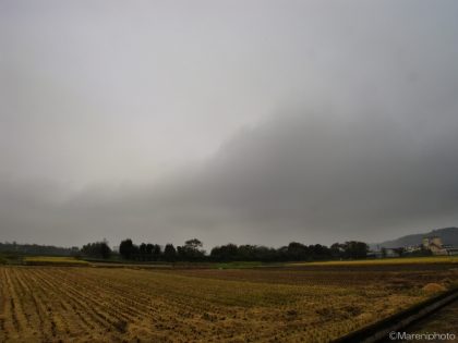 収穫後の田んぼと曇り空