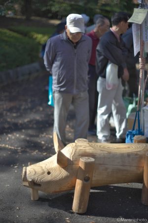 木彫りの猪を眺める人