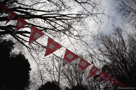 公園の樹木と旗