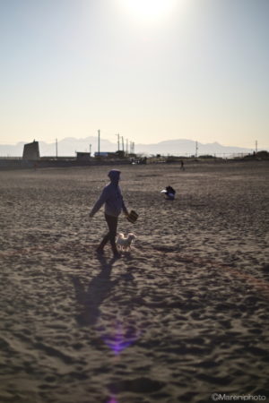 砂浜を犬と散歩する人